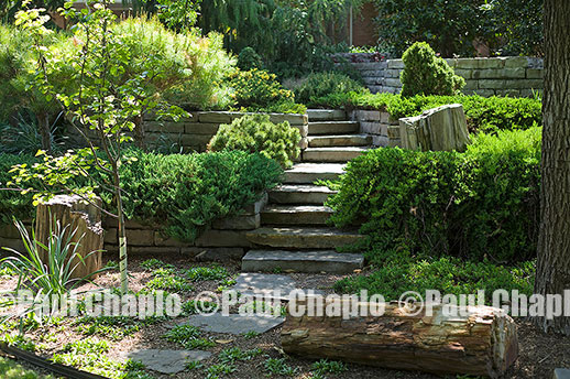 garden landscape architecture digital photographers Dallas, TX Texas Architectural Photography garden design