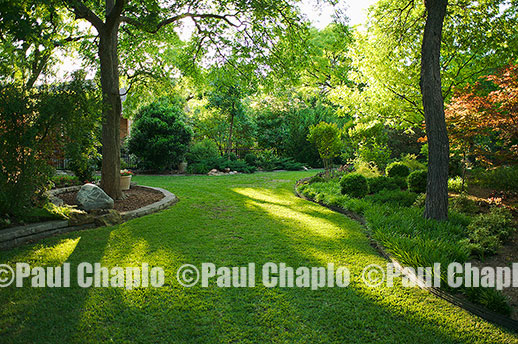 DALLAS garden landscape architecture digital photographers Dallas, TX Texas Architectural Photography garden design