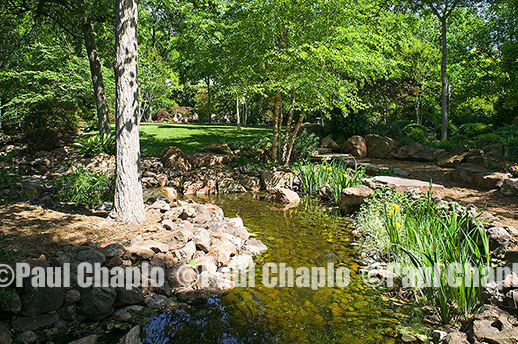 water garden landscape architecture digital photographers Dallas, TX Texas Architectural Photography garden design